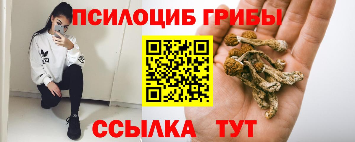 Горно-Алтайск  Галлюциногенные грибы Psilocybe  купить наркотики сайты  Вход с VPN 