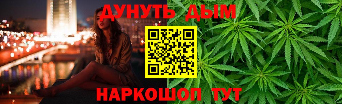 Конопля марихуана Горно-Алтайск